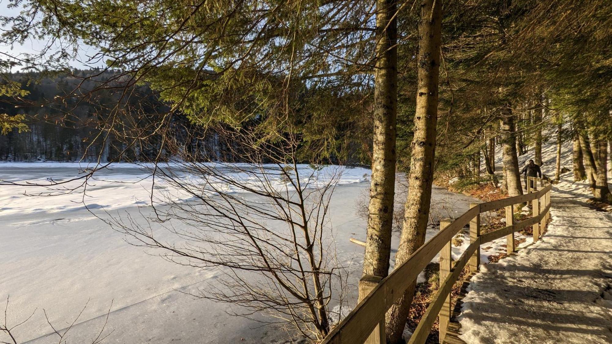 Le Renard Des Vosges Villa La Croix-aux-Mines ภายนอก รูปภาพ
