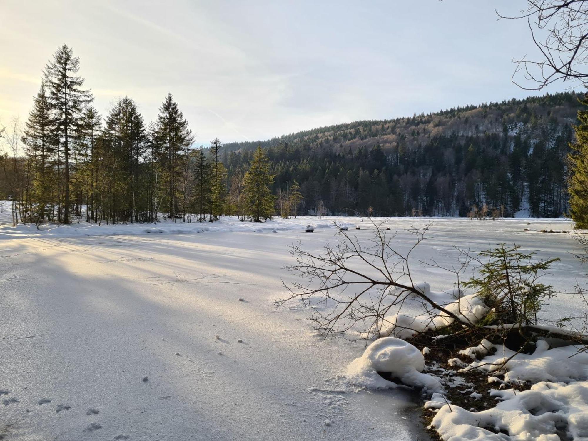 Le Renard Des Vosges Villa La Croix-aux-Mines ภายนอก รูปภาพ