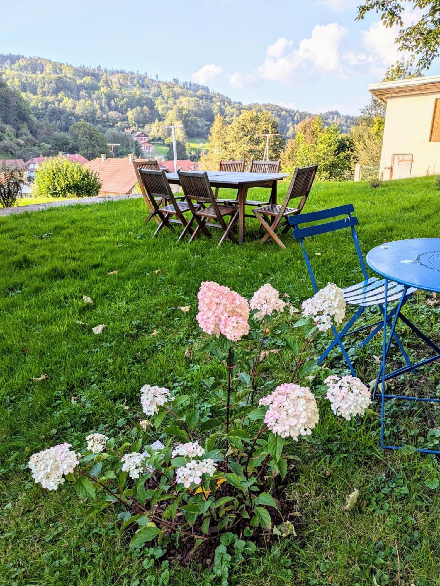 Le Renard Des Vosges Villa La Croix-aux-Mines ภายนอก รูปภาพ